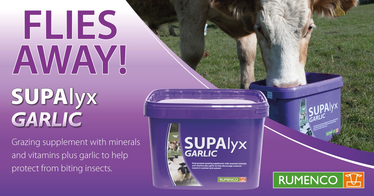 Supalyx_Garlic_Bucket.jpg