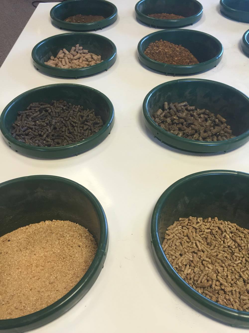 Massey Feeds Straights