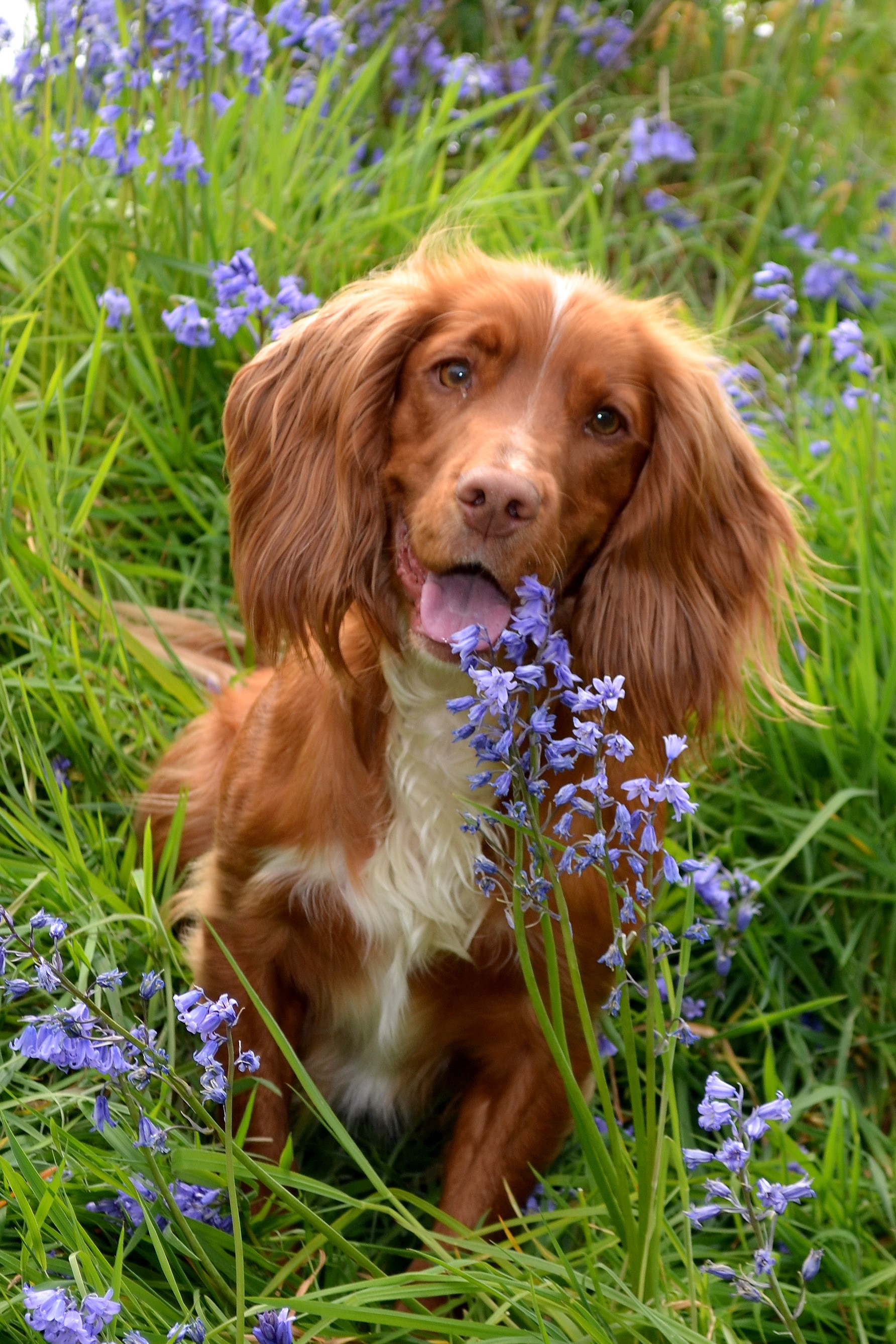 Otto_Portrait_Sitting.jpg