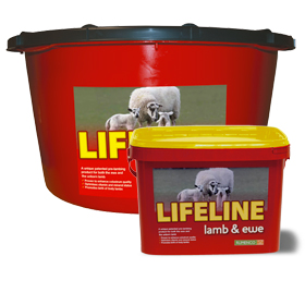 Lifeline.jpg